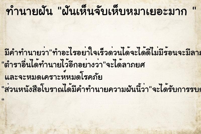 ทำนายฝัน ฝันเห็นจับเห็บหมาเยอะมาก 